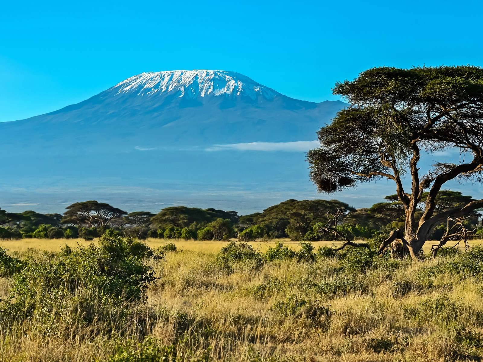 Safari to Mt. Kenya