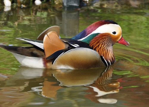 6 Days 5 Nights Wonderful Kenya Option 1